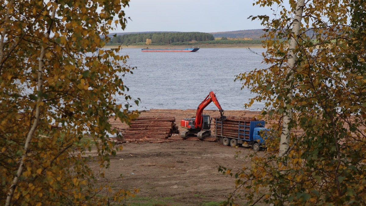 a crane is working on a pile of logs